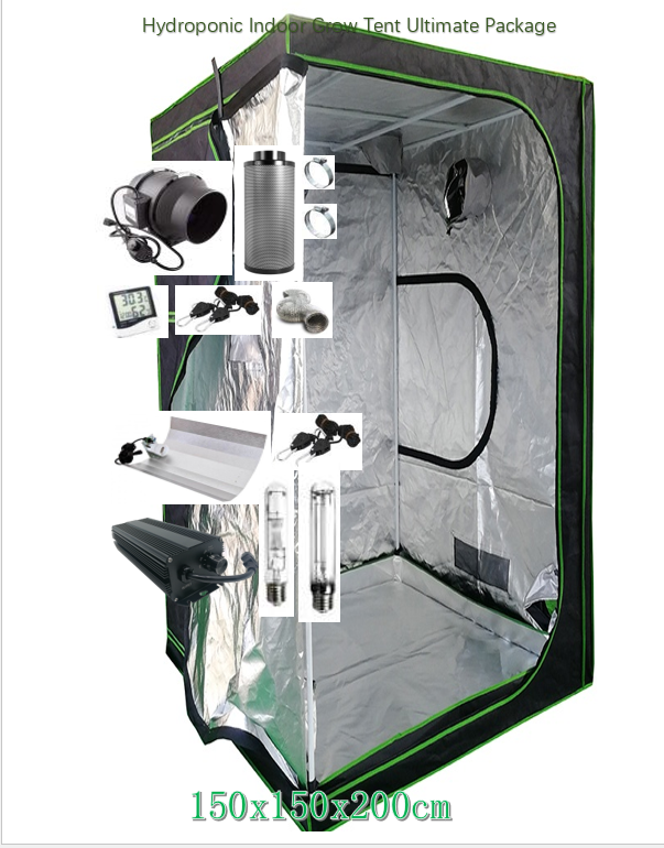 Hydroponic Indoor Grow Tent Ultimate Package- 240x120x200cm TENT+ 600W Grow Light Kit x2  +6" Fan/Filter Kit