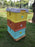 3 Layer Solid Insulation Plastic Beehive