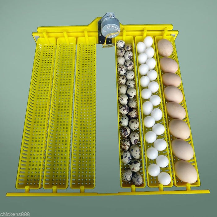 Janeol Fully Automatic 48 Eggs Incubator Kit W/ New Egg Tray